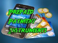 What are Prepaid Payment Instruments (PPIs)?